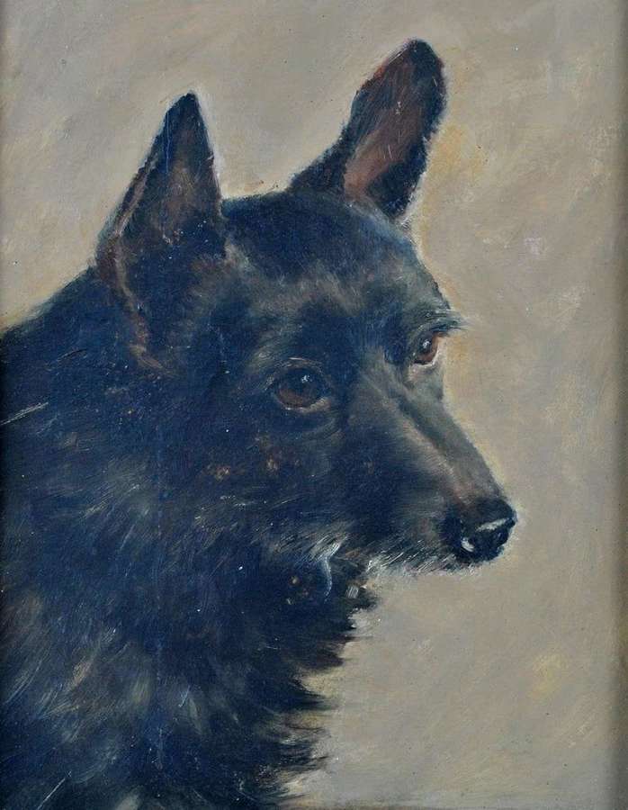 English School (19th century) Portrait of a Terrier, Oil on Board
