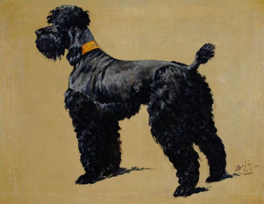 Delin, Ren&eacute; Philippe (1877-1961) Terrier Portrait