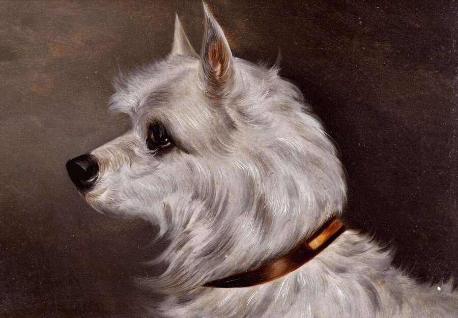 English School (19th Century) Portrait of a Terrier