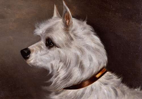 English School (19th Century) Portrait of a Terrier