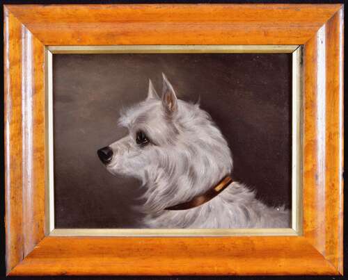 English School (19th Century) Portrait of a Terrier