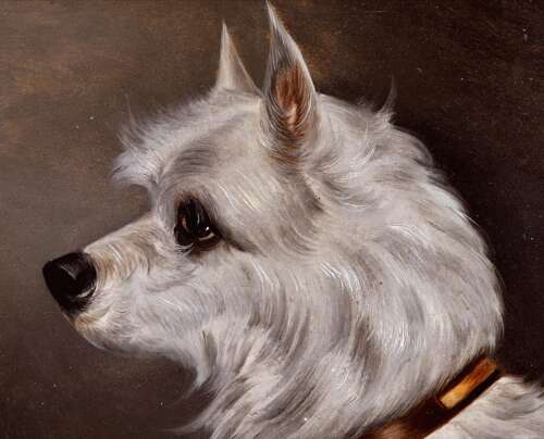 English School (19th Century) Portrait of a Terrier