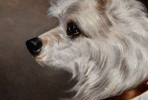 English School (19th Century) Portrait of a Terrier