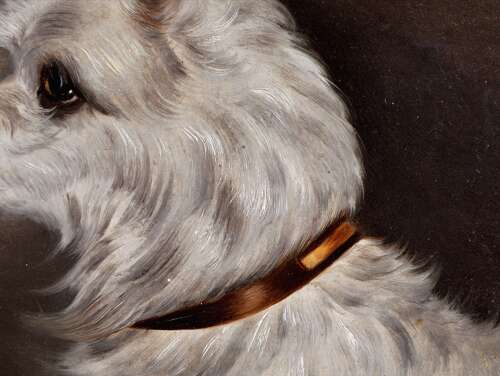 English School (19th Century) Portrait of a Terrier